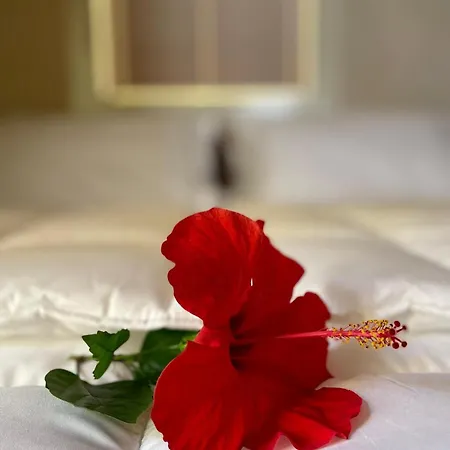 Maison Yolo - Slow Living Sicily Lejlighed *