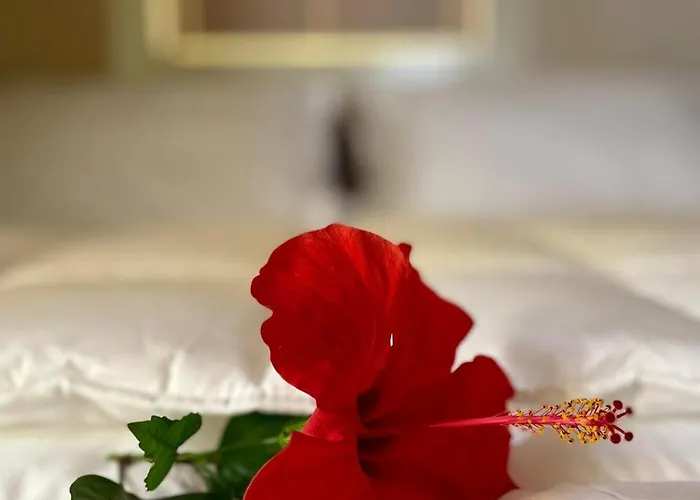 Maison Yolo - Slow Living Sicily Apartament *